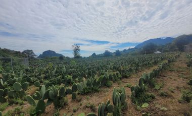 En Venta Predio 3346 m². Tlayacapan, Morelos