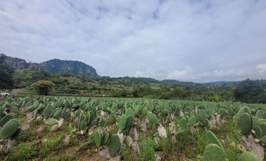 En Venta Predio 3346 m². Tlayacapan, Morelos