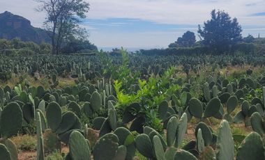 En Venta Predio 3346 m². Tlayacapan, Morelos