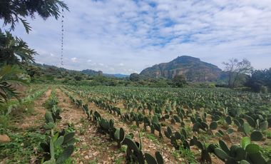 En Venta Predio 3346 m². Tlayacapan, Morelos