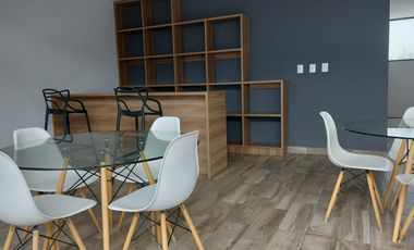 DEPARTAMENTO AMUEBLADO EN RENTA EN ZONA DE LA NORIA