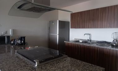 DEPARTAMENTO AMUEBLADO EN RENTA EN ZONA DE LA NORIA