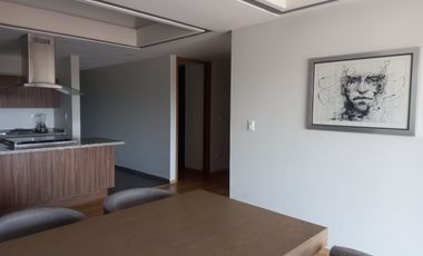 DEPARTAMENTO AMUEBLADO EN RENTA EN ZONA DE LA NORIA