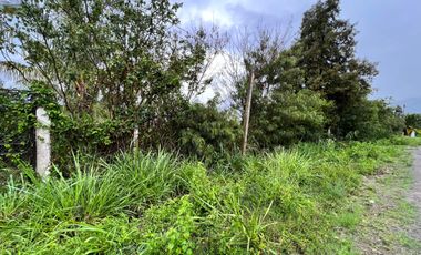 Terreno en venta en Catamayo sector Trapichillo