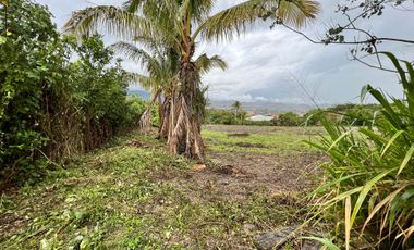 Terreno en venta en Catamayo sector Trapichillo