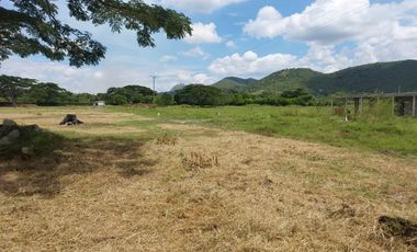 VENTA LOTES URBANIZADOS -ROLDANILLO -CONDOMINIO CAMPESTRE LA MILAGROSA