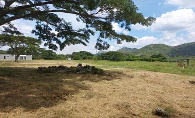 VENTA LOTES URBANIZADOS -ROLDANILLO -CONDOMINIO CAMPESTRE LA MILAGROSA