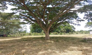 VENTA LOTES URBANIZADOS -ROLDANILLO -CONDOMINIO CAMPESTRE LA MILAGROSA