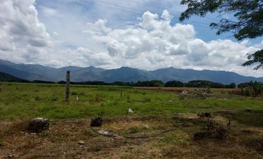 VENTA LOTES URBANIZADOS -ROLDANILLO -CONDOMINIO CAMPESTRE LA MILAGROSA