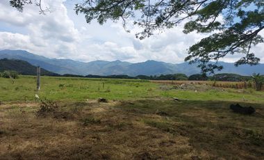 VENTA LOTES URBANIZADOS -ROLDANILLO -CONDOMINIO CAMPESTRE LA MILAGROSA