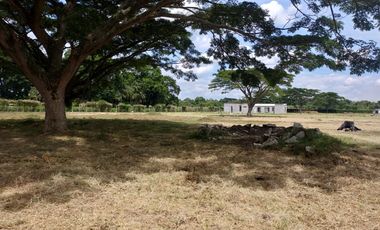 VENTA LOTES URBANIZADOS -ROLDANILLO -CONDOMINIO CAMPESTRE LA MILAGROSA