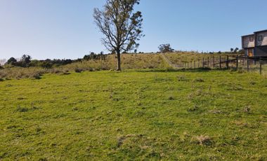 PARCELA FRUTILLAR EN VENTA VISTA LAGO Y VOLCANES