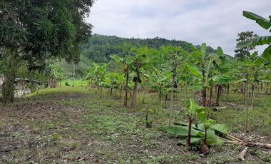 gratis ... GRATIS .. LOTE DE TERRENO DE 1.5 HECTARIAS EN SAGUE .. SAN MATEO.. VENTA¡ Esmeraldas te brinda las mejores opciones! LOTES en venta ideales