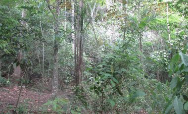 FINCA DE 45 HTS EN ALTOS DE BURITACA BAÑADA POR DOS RIOS.