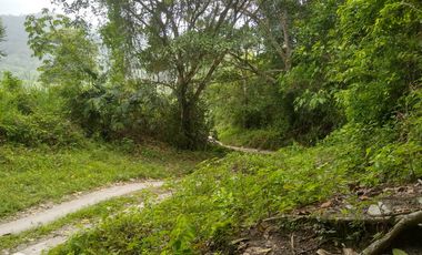 FINCA DE 45 HTS EN ALTOS DE BURITACA BAÑADA POR DOS RIOS.