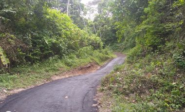 FINCA DE 45 HTS EN ALTOS DE BURITACA BAÑADA POR DOS RIOS.