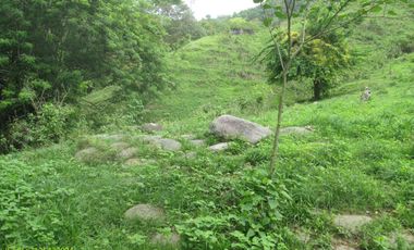 FINCA DE 45 HTS EN ALTOS DE BURITACA BAÑADA POR DOS RIOS.