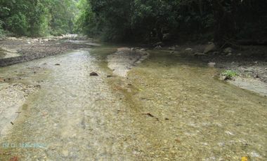 FINCA DE 45 HTS EN ALTOS DE BURITACA BAÑADA POR DOS RIOS.