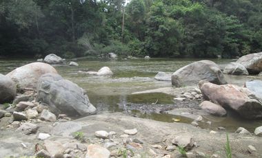 FINCA DE 45 HTS EN ALTOS DE BURITACA BAÑADA POR DOS RIOS.
