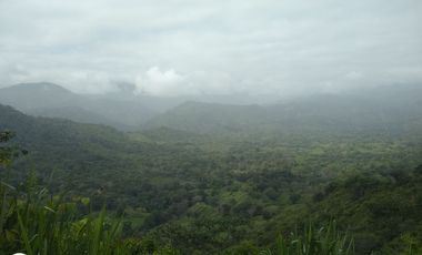 FINCA DE 45 HTS EN ALTOS DE BURITACA BAÑADA POR DOS RIOS.
