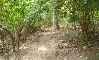 FINCA DE 45 HTS EN ALTOS DE BURITACA BAÑADA POR DOS RIOS.