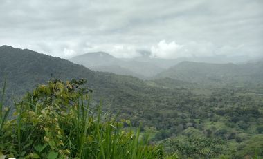 FINCA DE 45 HTS EN ALTOS DE BURITACA BAÑADA POR DOS RIOS.
