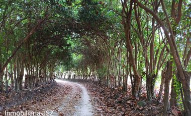 FINCA DE 45 HTS EN ALTOS DE BURITACA BAÑADA POR DOS RIOS.