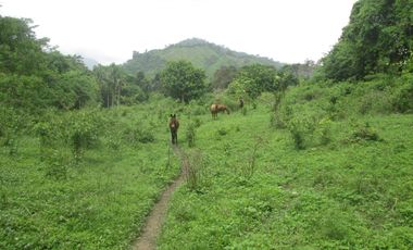 FINCA DE 45 HTS EN ALTOS DE BURITACA BAÑADA POR DOS RIOS.