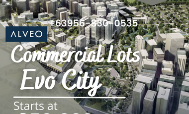 FOR SALE LAST 2 COMMERCIAL LOTS FOR SALE in EVO CITY, Kawit Cavite