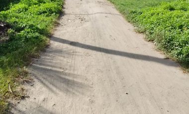 LOT FOR SALE IN DUMAGUETE  ID 14868
