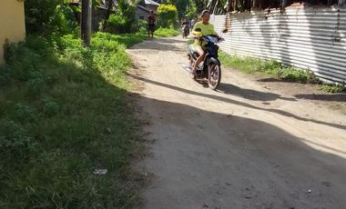 LOT FOR SALE IN DUMAGUETE  ID 14868