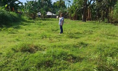 LOT FOR SALE IN DUMAGUETE  ID 14868