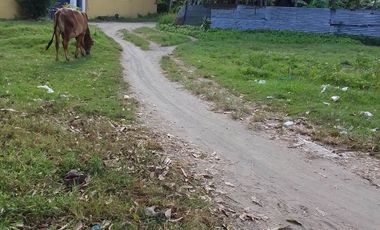LOT FOR SALE IN DUMAGUETE  ID 14868