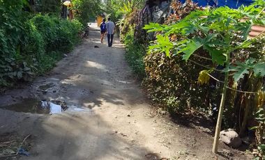 LOT FOR SALE IN DUMAGUETE  ID 14868