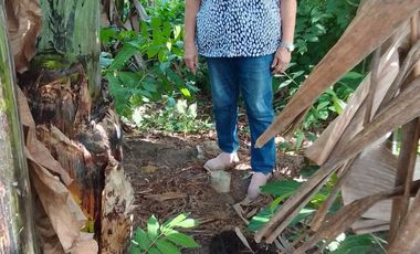 LOT FOR SALE IN DUMAGUETE  ID 14868