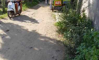 LOT FOR SALE IN DUMAGUETE  ID 14868