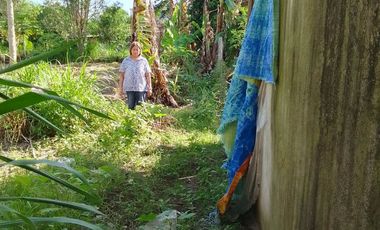 LOT FOR SALE IN DUMAGUETE  ID 14868
