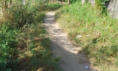 LOT FOR SALE IN DUMAGUETE  ID 14868