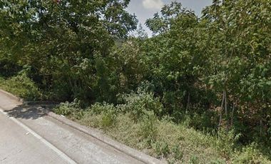 San José Vendo Terreno Pie de Vía