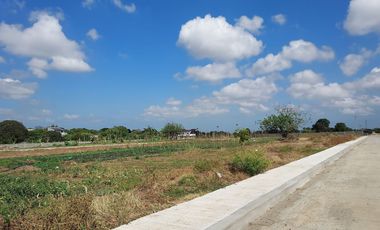 The Stunning Residential lot for Sale along Villar Avenue