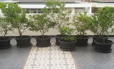 Kost Murah Dekat Sunter Mall Jakarta Utara