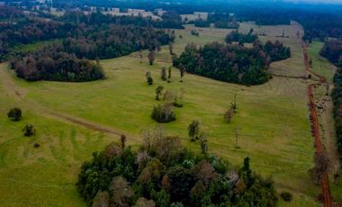 Campo Subdividido en venta en Villarrica - 49,2 hectáreas - Región de la Araucanía
