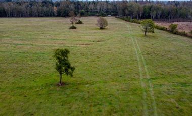 Campo Subdividido en venta en Villarrica - 49,2 hectáreas - Región de la Araucanía
