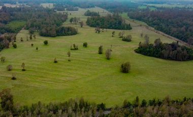 Campo Subdividido en venta en Villarrica - 49,2 hectáreas - Región de la Araucanía