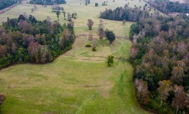 Campo Subdividido en venta en Villarrica - 49,2 hectáreas - Región de la Araucanía