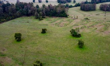 Campo Subdividido en venta en Villarrica - 49,2 hectáreas - Región de la Araucanía