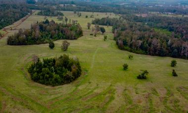 Campo Subdividido en venta en Villarrica - 49,2 hectáreas - Región de la Araucanía