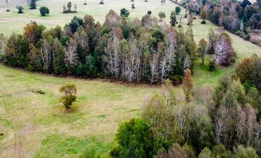 Campo Subdividido en venta en Villarrica - 49,2 hectáreas - Región de la Araucanía