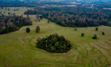 Campo Subdividido en venta en Villarrica - 49,2 hectáreas - Región de la Araucanía