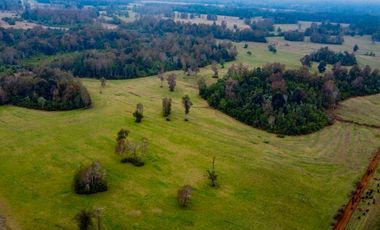 Campo Subdividido en venta en Villarrica - 49,2 hectáreas - Región de la Araucanía